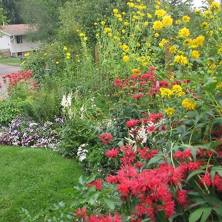 The Grateful Bed B'N'B Bed & Breakfast Prince George Bagian luar foto